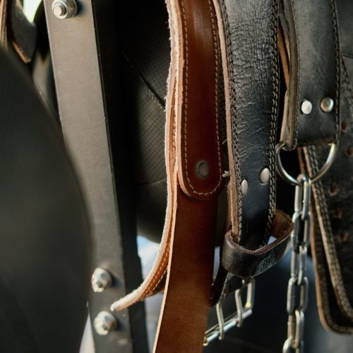 Breeches, Rugs, Bags, Clothing